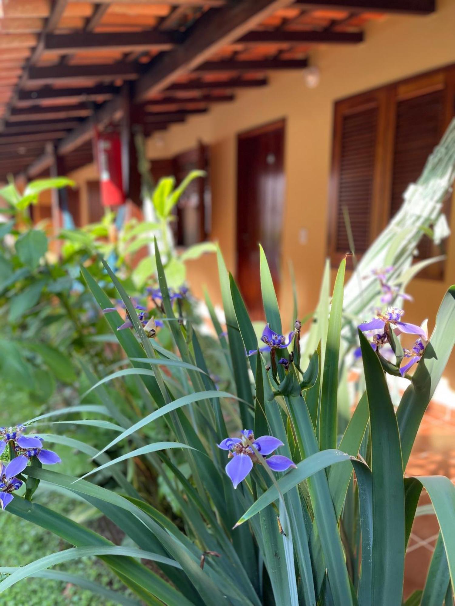 Pousada Jardins Parati Exterior foto